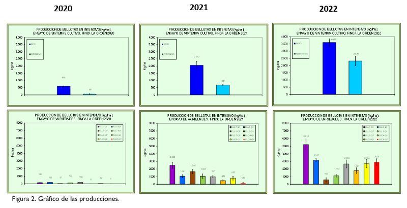 figura%202